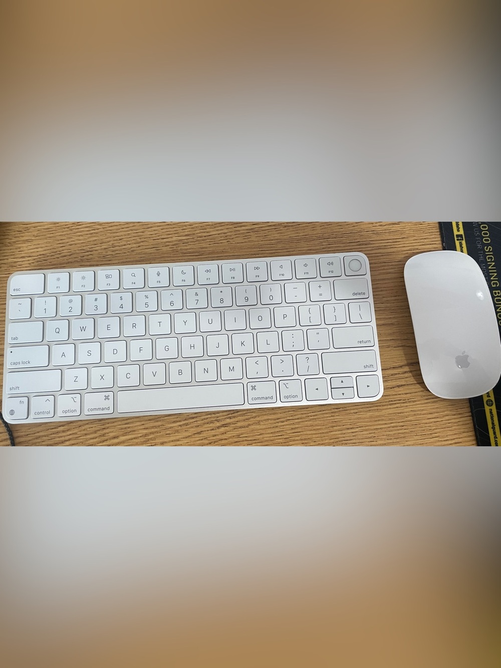 Apple Magic Keyboard (Touch ID) & Magic Mouse 2 - Lightning ports